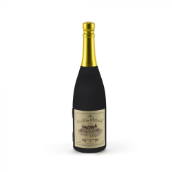 BOTTIGLIA CHAMPAGNE 5 ACCESSORI 