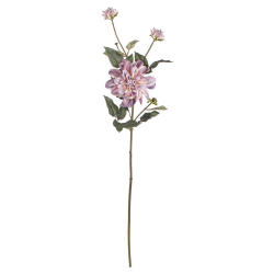 DALIA 4 BOCCIOLI VIOLA MISTO 80 CM