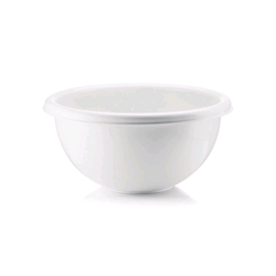INSALATIERA CM 25 BIANCO FORME CASA  GUZZINI